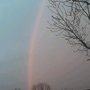 Meet your Posher, Carime